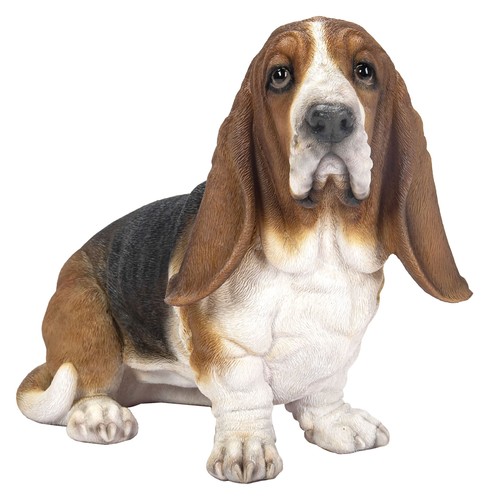 Vivid arts basset - vivid,