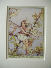 Vtg flower fairies - vtg, &