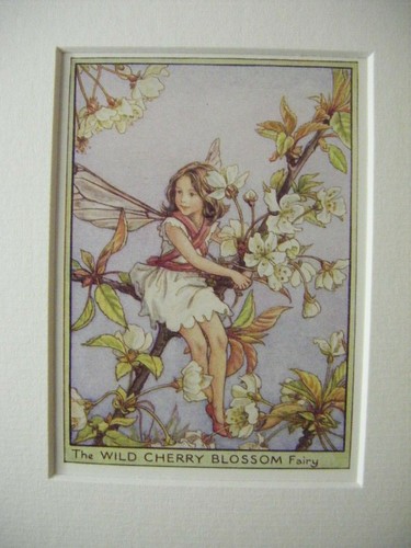 Vtg flower fairies print - vtg,