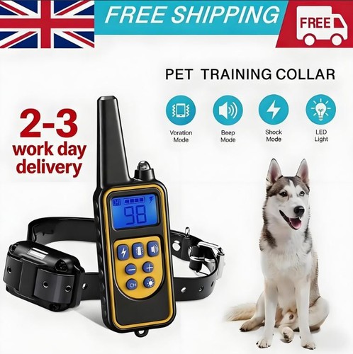 800m electric pet - electric, training
