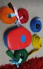 Blitz karate/MMA belts and