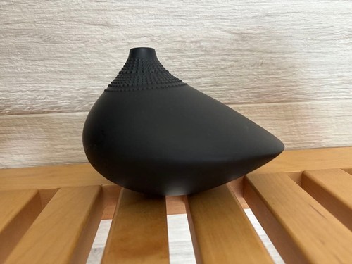 Rosenthal tapio wirkkala - rosenthal, pollo