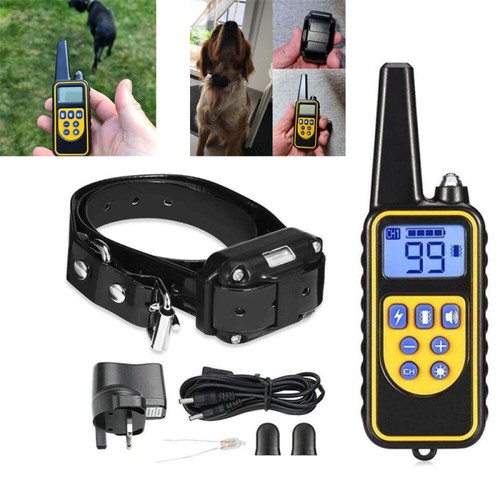 Dog training collar small - training,
