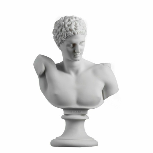 Hermes bust alabaster - bust,