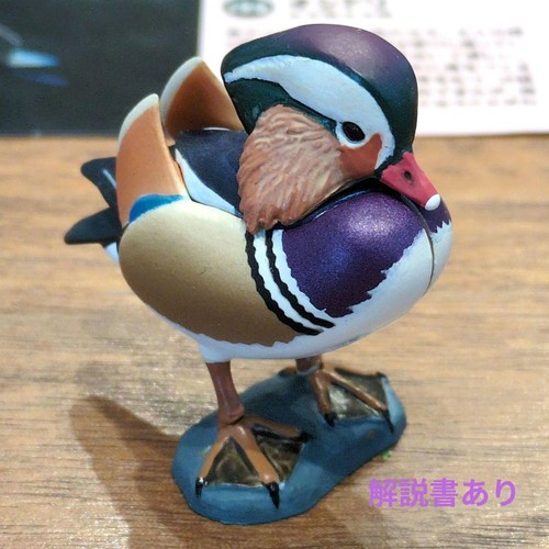 Kaiyodo choco - choco, egg