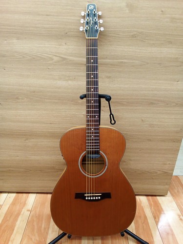 Seagull cedar concert hall - cedar,