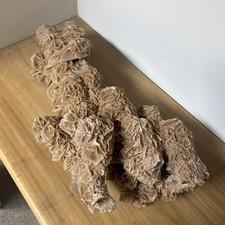 Large Natural Desert Rose