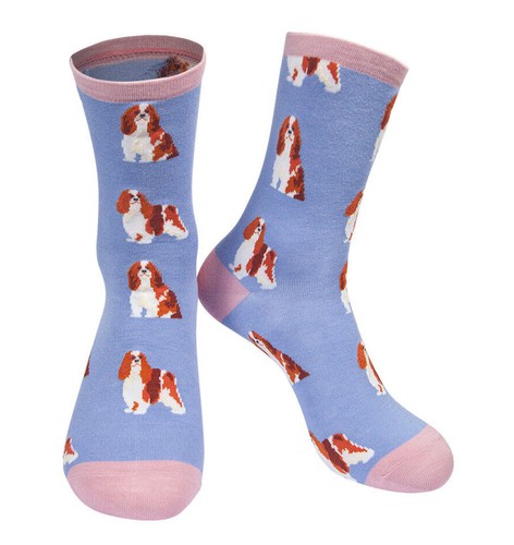 Womens king charles spaniel - womens,