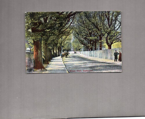 Sussex eastbourne meads road - eastbourne,