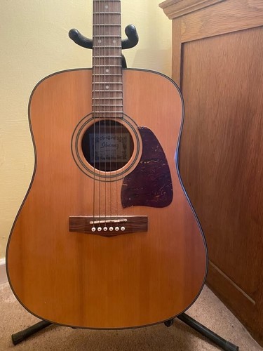 Ibanez acoustic guitar - ibanez,