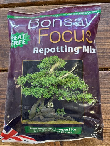 Compost bonsai focus - compost,