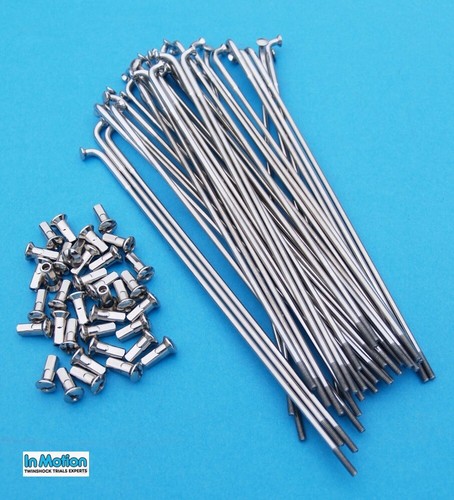 Front spoke set stainless - set,