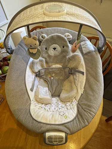 Ingenuity grey white bear baby - ingenuity,