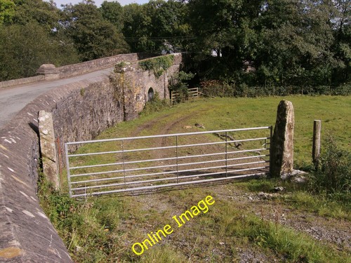 Photo 6x4 fine pair - of, stone