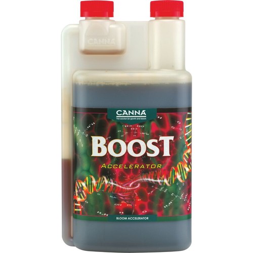 Boost accelerator canna - 1l,