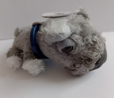 Miniature Schnauzer Artist The