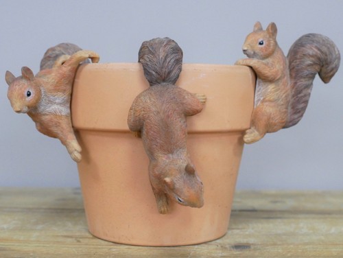 Set squirrel pot - 3, hangers