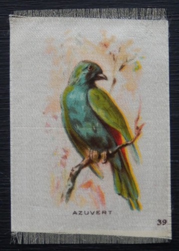 Azuvert birds spanish language - spanish,