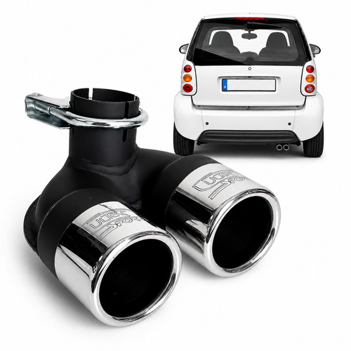 Dual pipe exhaust tip for - dual,