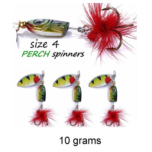 Trout perch fishing - perch,