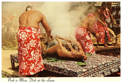 Locals cook pig with hot - cook,