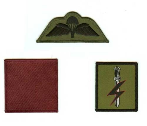 Special forces support - forces,