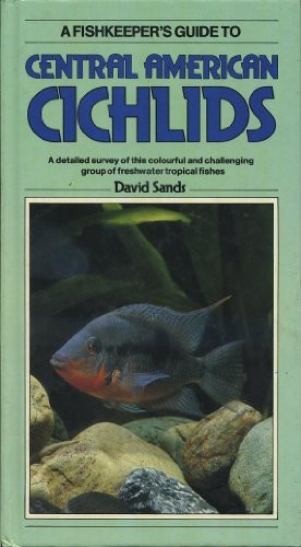 Central american cichlids - american,