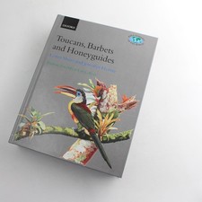 Toucans, Barbets, and