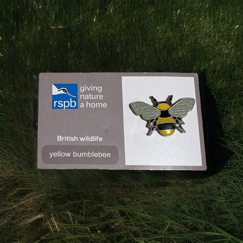 Rspb pin badge yellow - rspb-pin,