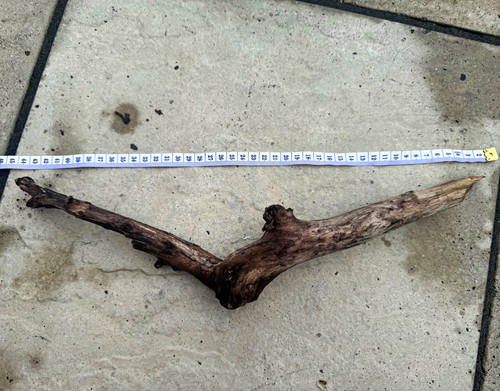Large natural hardwood