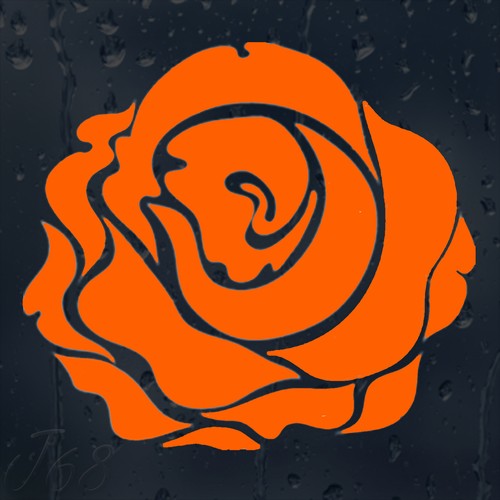Beautiful orange flower rose - beautiful,