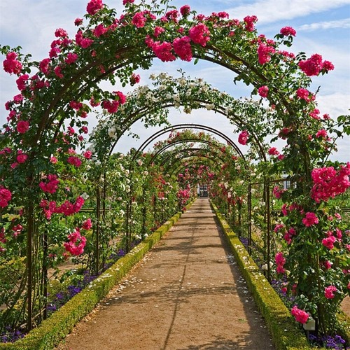 Tall garden arbor versatile - xl,