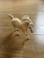 Andalusian Cremello stallion -