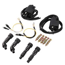 Set of 2 Ignition Coils & Caps