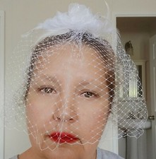 Birdcage Full Face & Headpiece
