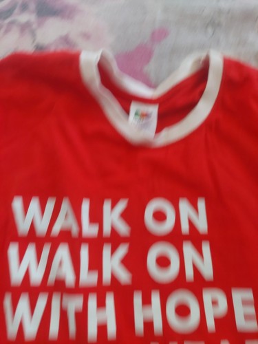 Hmp ynwa shirt - ynwa,