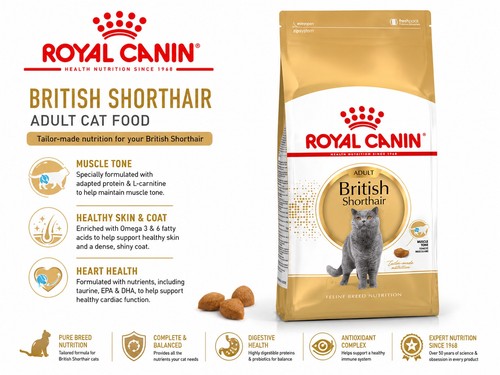 Royal canin british - royal,