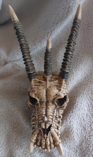 Dragon resin skull wall - resin,