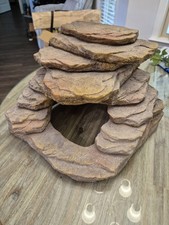 Used Bearded Dragon  Aquarium