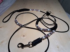 Blingy Dog Show Collar And