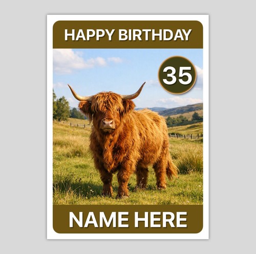 Highland cow cattle - cow,
