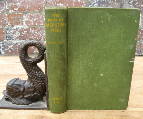 1910 the book migratory - book,