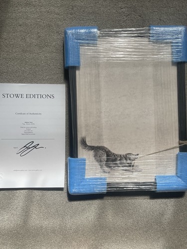 Brand new andrew scott - new,
