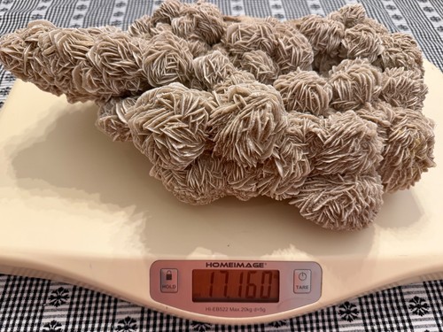Large natural desert - lb,