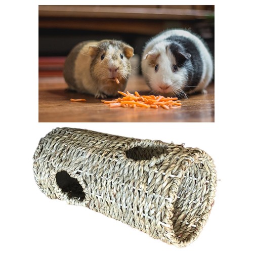 Hamster tunnel cage - hamster,