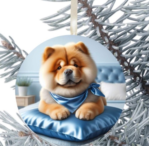 Chow dog - chow,