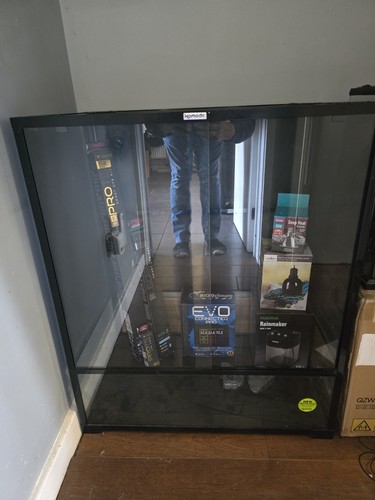 Komodo glass vivarium - komodo,