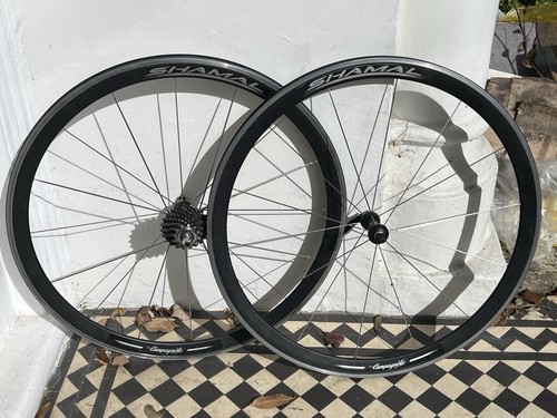 Campagnolo shamal black - campagnolo,