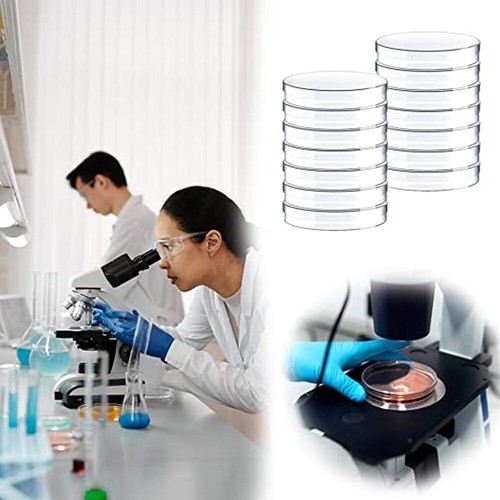 10pcs plastic petri - plastic, lab