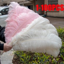 1~100Pack 25-30cm Large